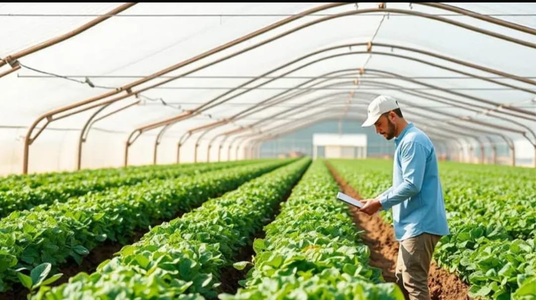 Farm Sourcing